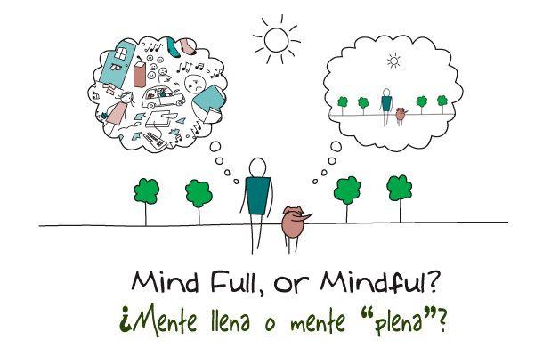 MINDFULNESS - Aprende a vivir el momento presente