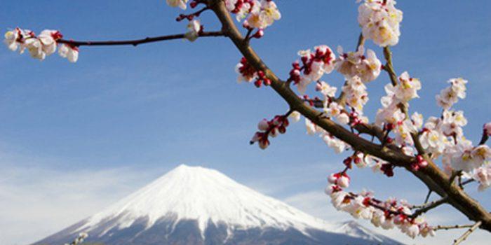 ENCUENTRO DE REIKI - REIJU KAI