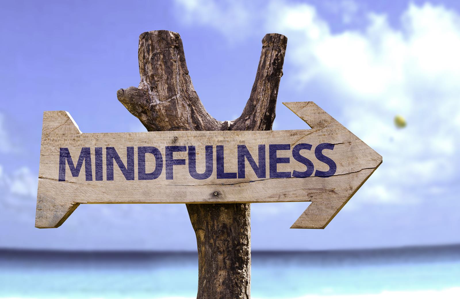 MINDFULNESS - Aprende a vivir el momento presente