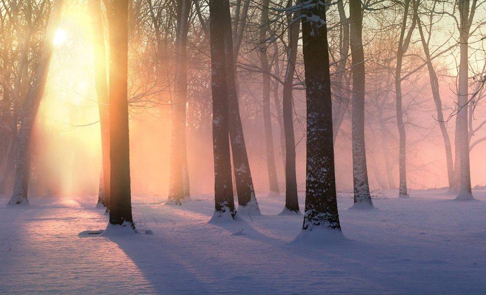 El sonido de la naturaleza como terapia emocional
