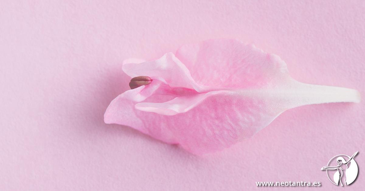 Sensualidad a flor de piel | Encuentro de Tantra Avanzado