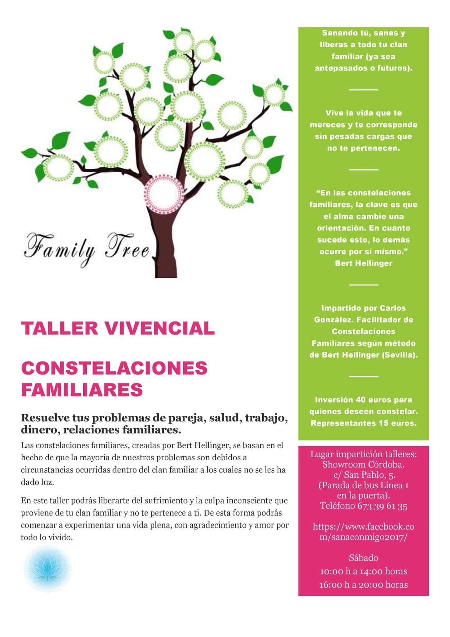 Taller Vivencial de Constelaciones Familiares
