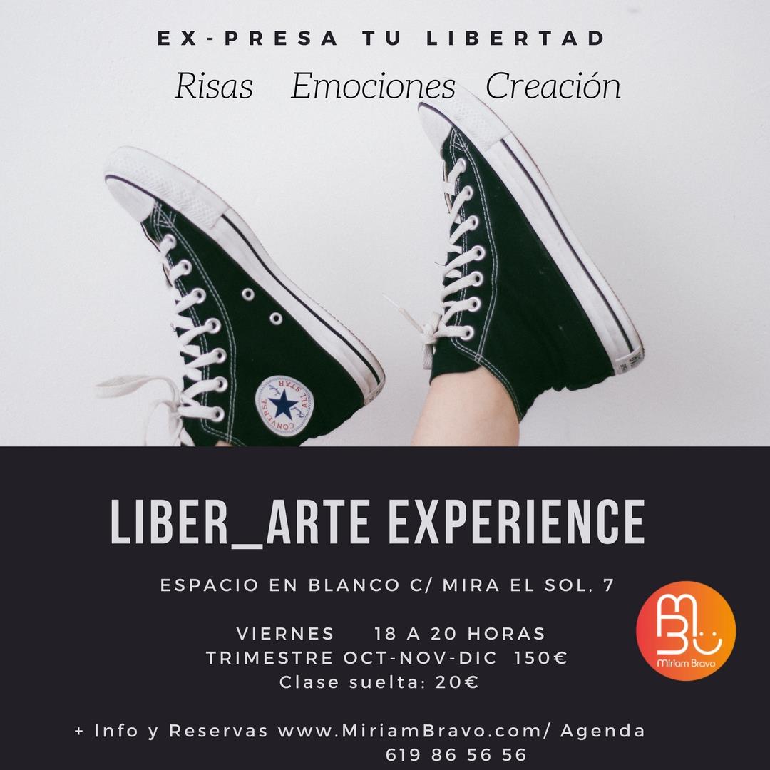 Liber_Arte Experience