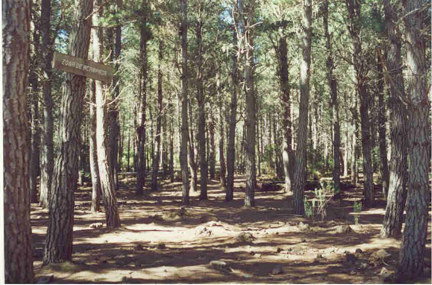 Curso intensivo de meditación combinado en la Naturaleza