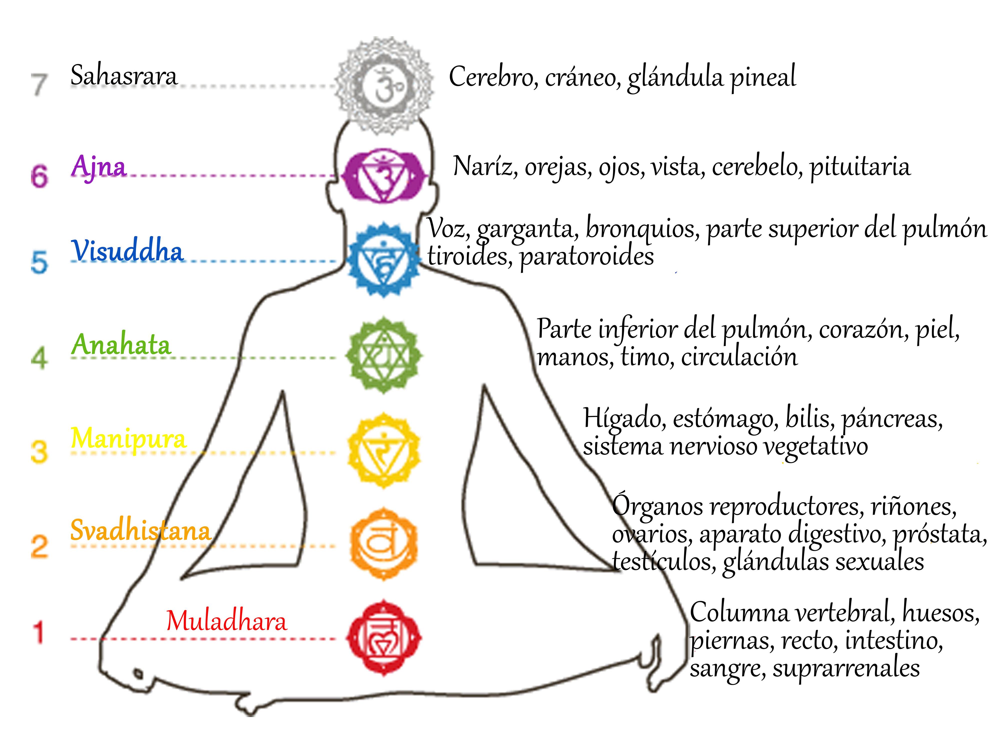 Aprende a armonizar y equilibrar los Chakras