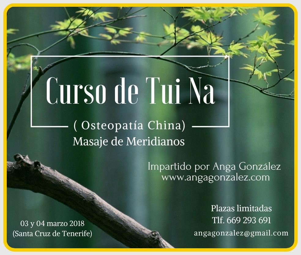 Curso de TuiNa