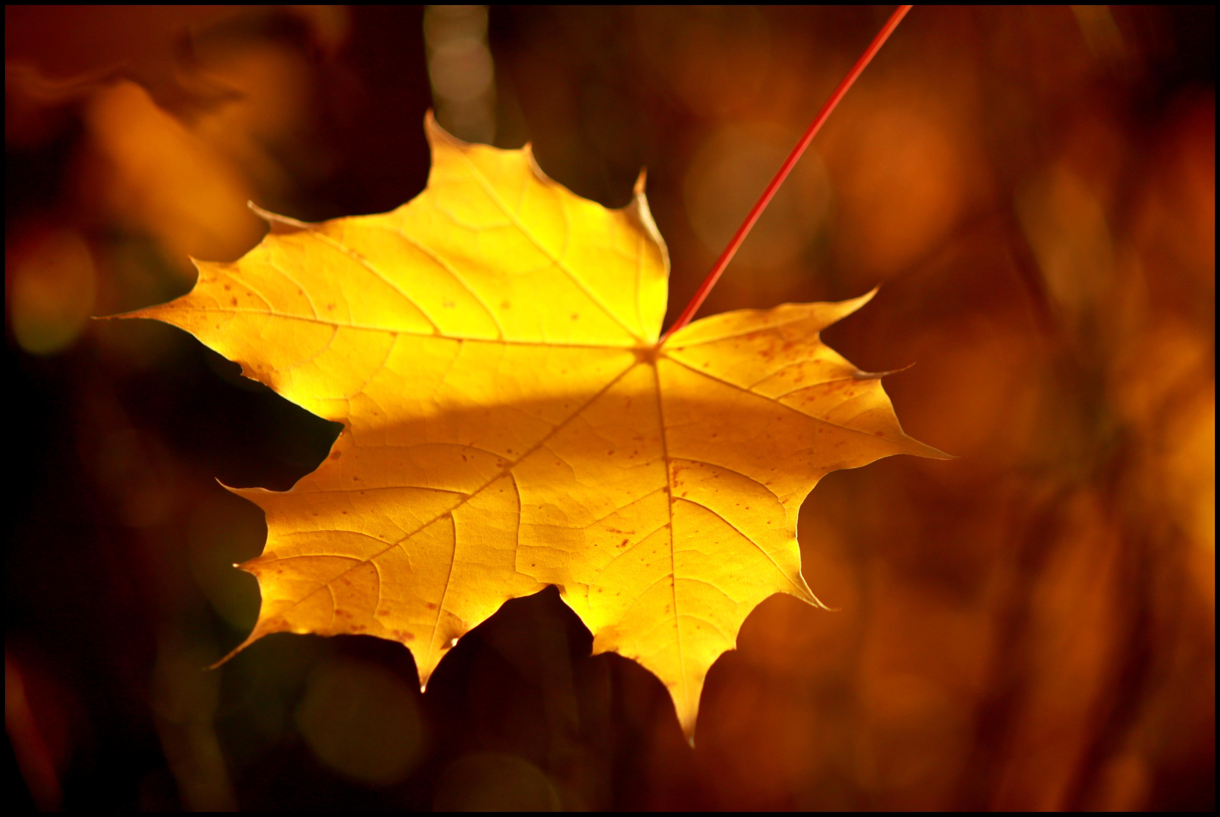 Equinoccio de Otoño
