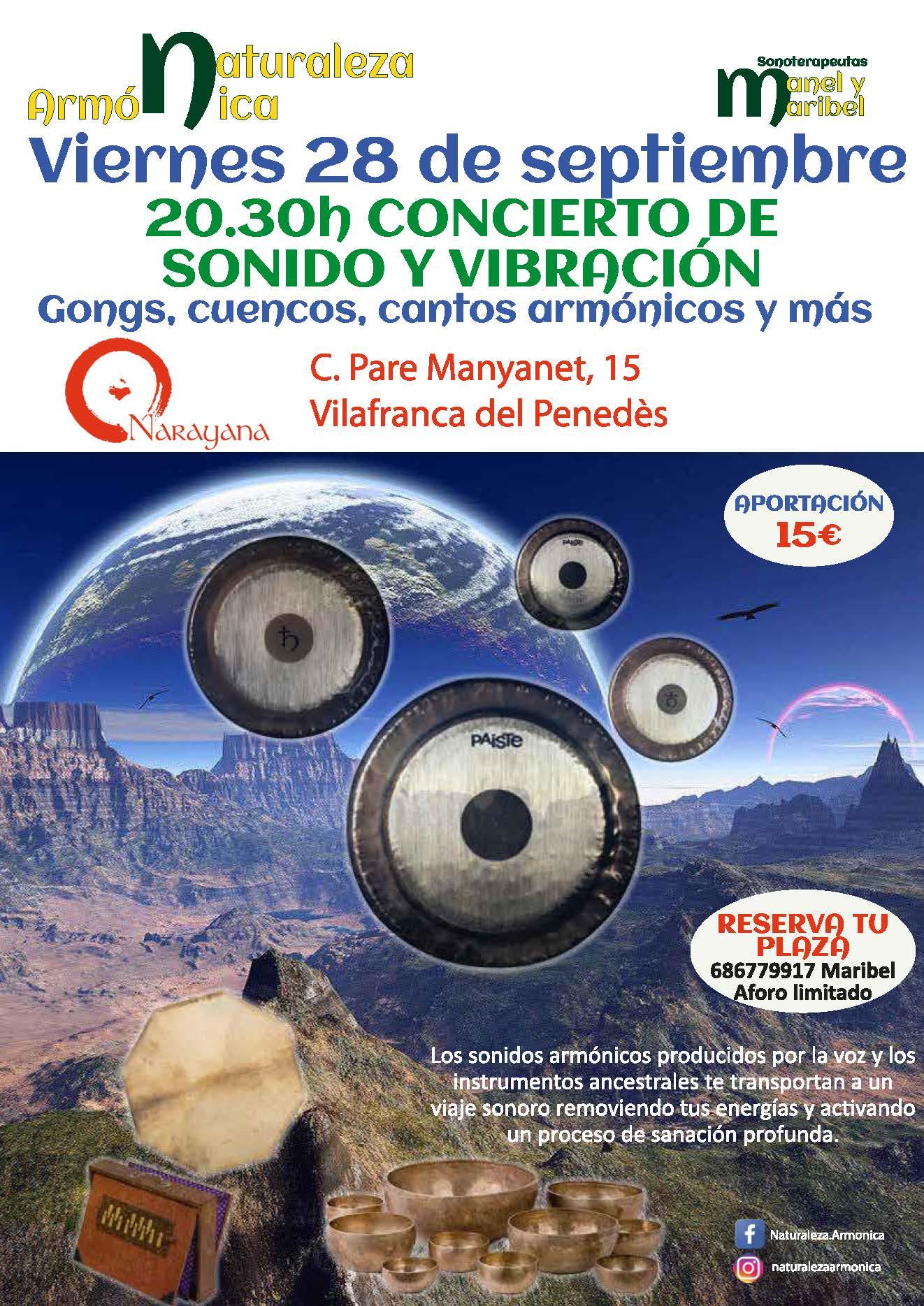 Viaje de sonido y vibración