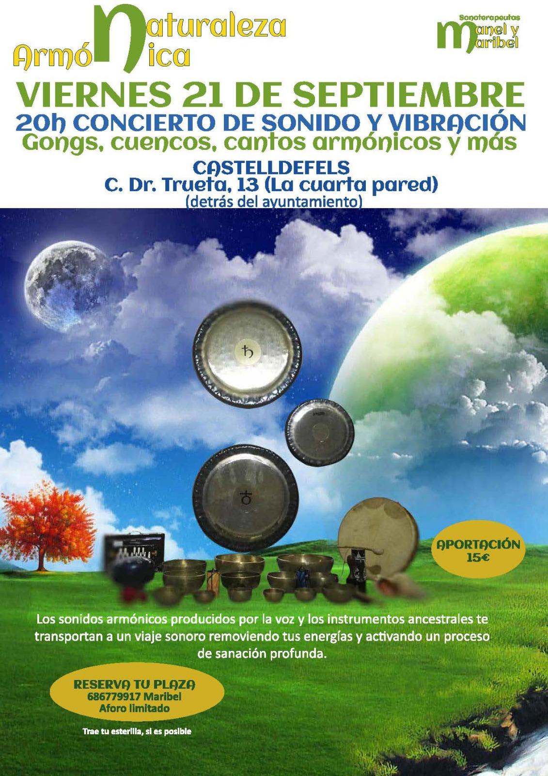Viaje de sonido y vibración
