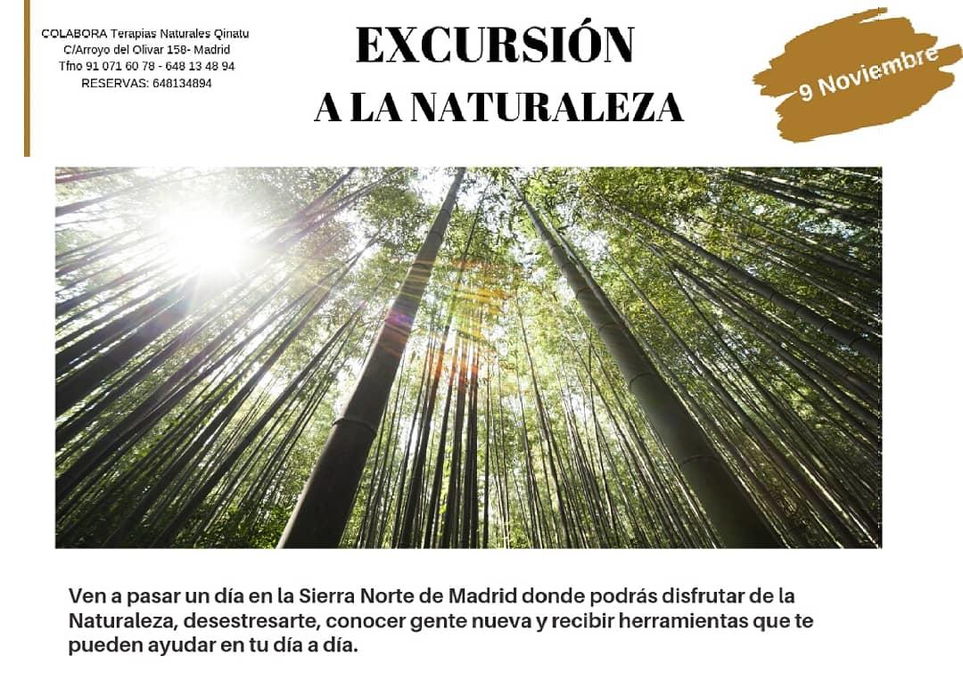 Excursion a la Naturaleza