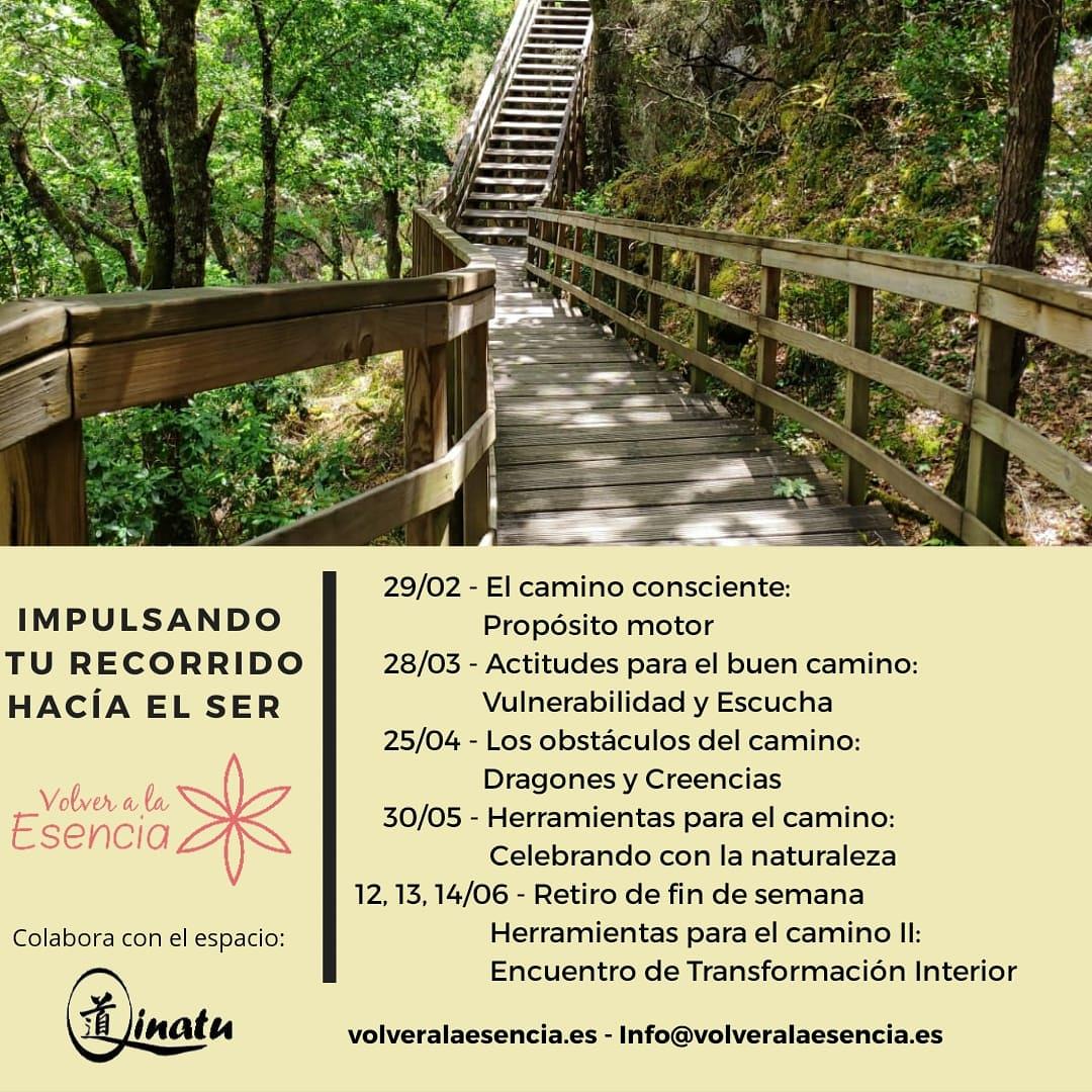 Impulsando tu recorrido hacia el ser