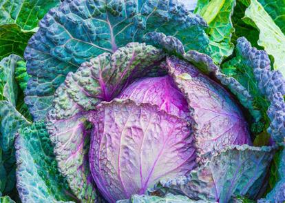 CURSO ONLINE: Alimentate de forma consciente