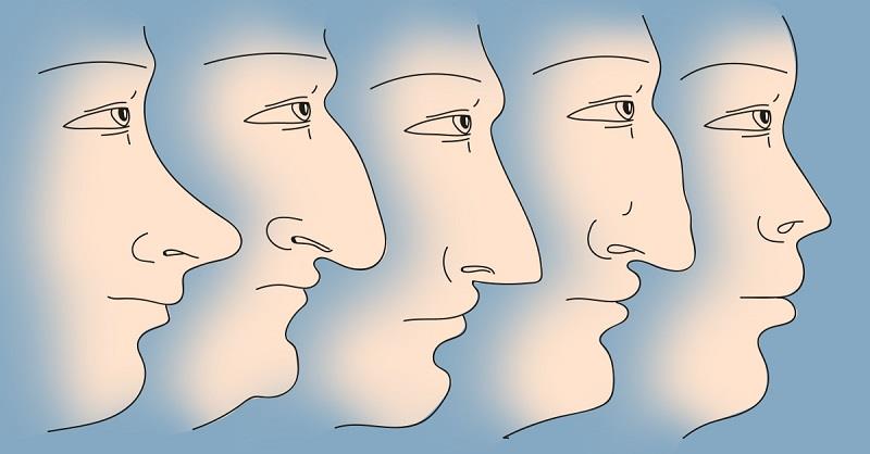 TALLER: CÓMO SON TUS CLIENTES, POR SUS RASGOS FACIALES