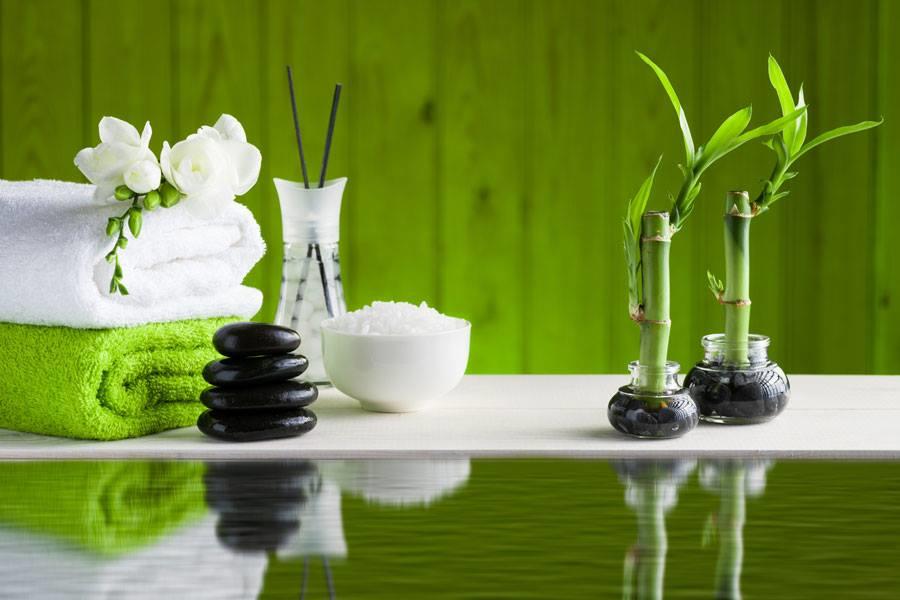 TALLER: FENG SHUI PARA VIVIENDAS I GEOBIOLOGÍA