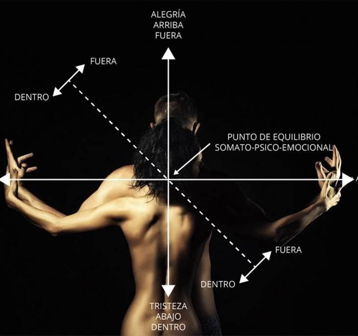 TALLER: INTENSIU DE DIAFREO I MOVIMENT INTEGRAL