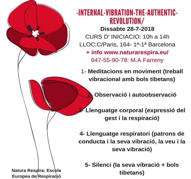 CURSO: COMO POTENCIAR NUESTRO CANAL DE LUZ Y AMOR