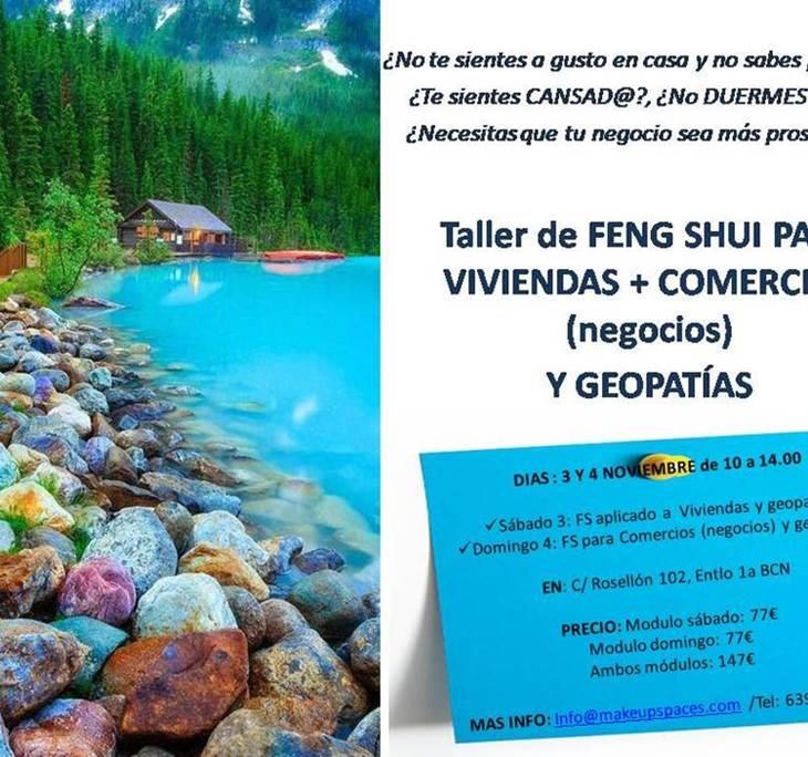 TALLER: DE FENG SHUI PARA VIVIENDAS, NEGOCIOS Y GEOPATÍAS