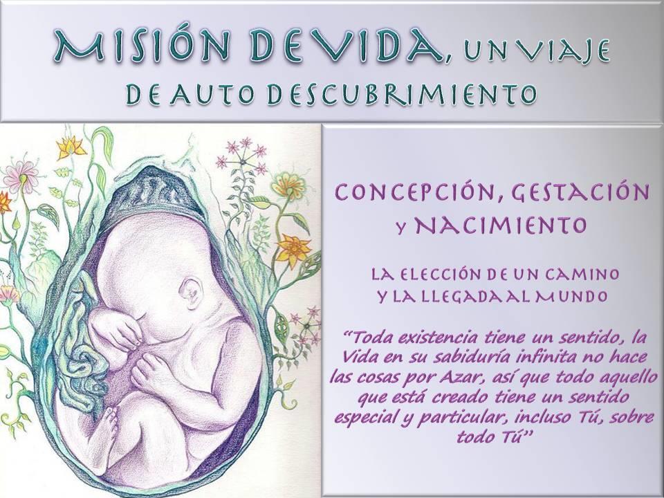 ALQUIMIA CHAMÁNICA, UN VIAJE DE TRANS~FORMACIÓN