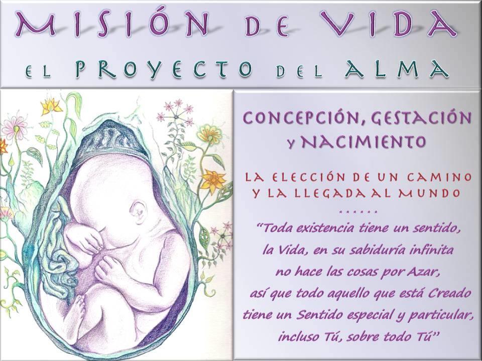 Alquimia Chamánica, La Semilla, Misión de Vida~Proyecto del Alma