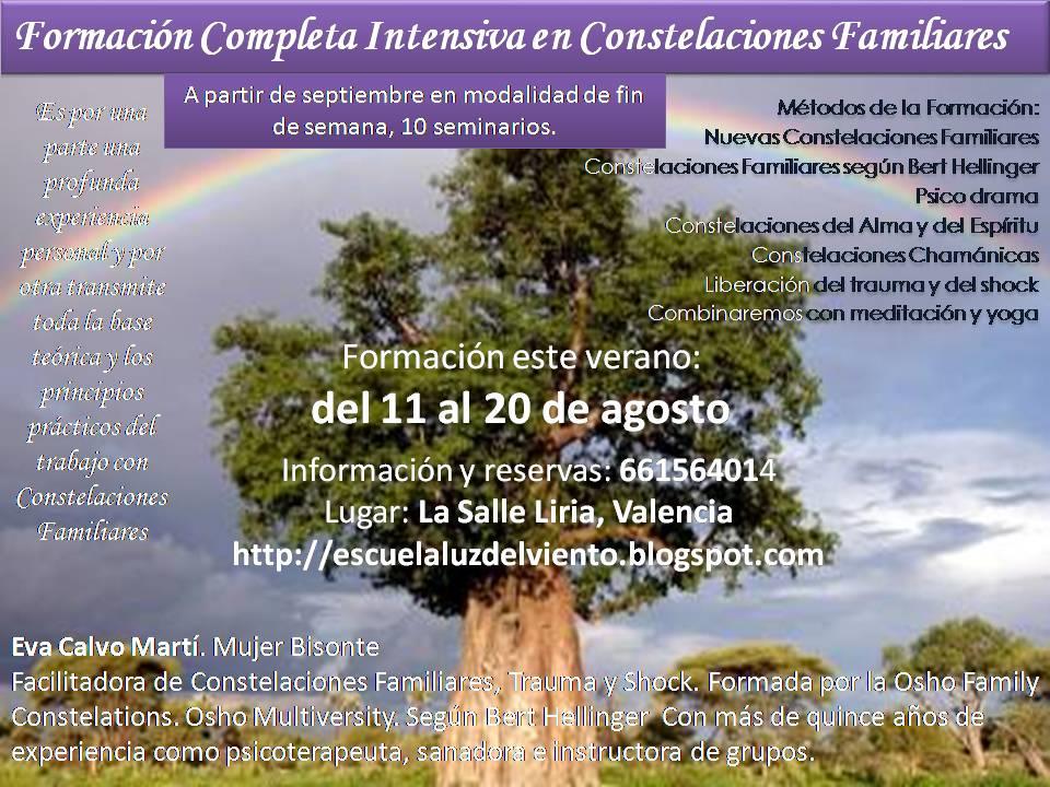 Formación Completa intensiva en Constelaciones Familiares