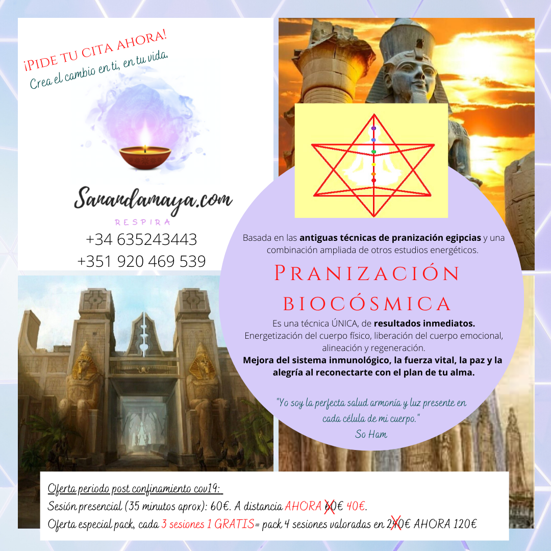 Sesiones de Pranización Biocósmica
