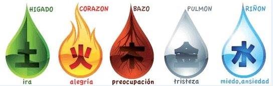 Sesiones de Acupuntura en Lanzarote
