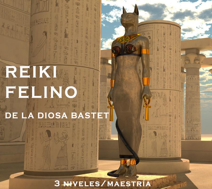 Reiki Felino