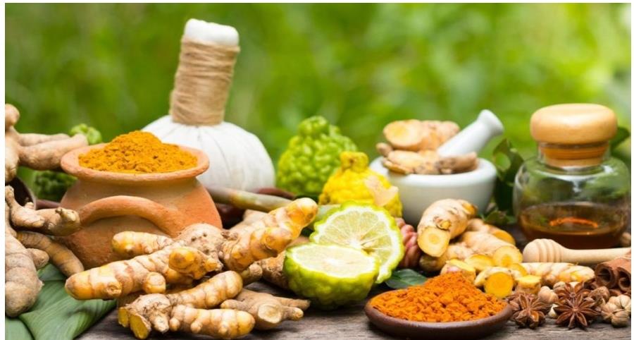 CONSULTA DE NUTRICIÓN Y ALIMENTACIÓN AYURVEDA Y SUS ESTILOS DE VIDA