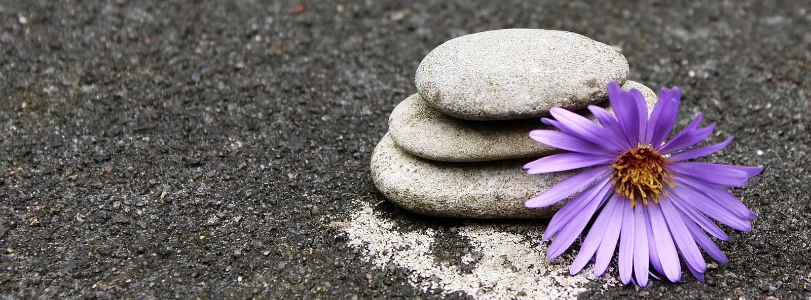 APRENDE A MEDITAR