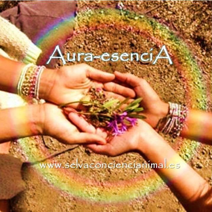 Elaboración de Aura-esenciA (aromaterapia, terapia floral)