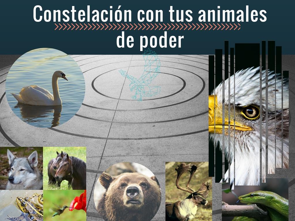 constelación con los animales de poder