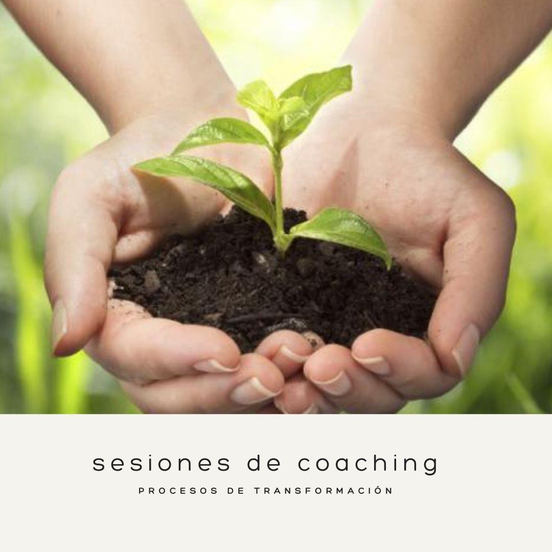 Sesiones de Coaching Personal y Profesional (online)