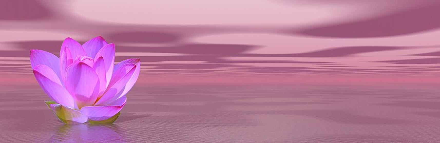 Reiki,Flores de Bach, Códigos Solares,Técnica Metamórfica,Ho’oponopono