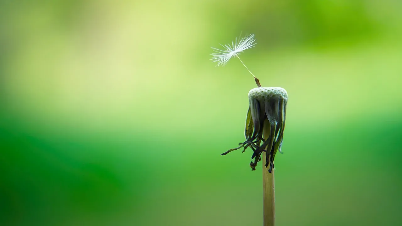 Mindfulness (Lunes y Miércoles de 12 a 13 h.)