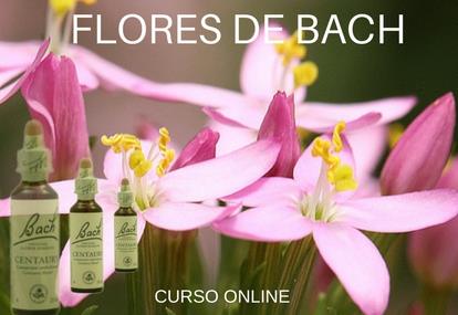 Flores de Bach