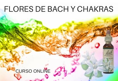 Flores de Bach y Chakras