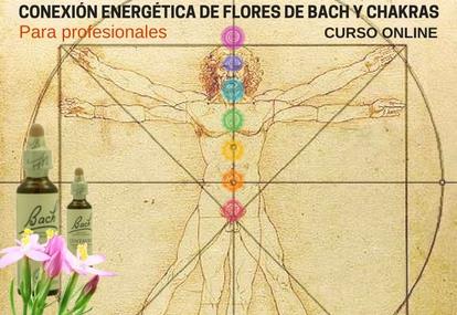 Conexión energética de Flores de Bach y Chakras, para profesionales