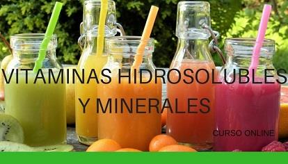 Vitaminas hidrosolubres y minerales